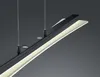 Trio - Hängelampe SMASH - Schwarz - 0x0x150 cm Produktbild-Vorschau 9