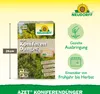 Neudorff  - Azet KoniferenDünger 2,5 kg reicht für 50m² Produktbild-Vorschau 3