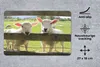 MuchoWow® Mauspad Mousepad Schafe - Tiere - Bauernhof 27x18 Produktbild-Vorschau 2
