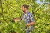 Gardena Premiumcut Pro Gartenschere Silber  Silber One Size Produktbild-Vorschau 8