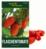 Flaschentomaten San Marzano 2 Samen - Solanum lycopersicum Produktbild-Vorschau 1