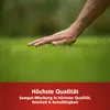 Wolf-Garten Sport- und Spielrasen Samen LG 500, 372021 Produktbild-Vorschau 5