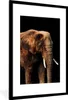 MuchoWow® MuchoWow® Gerahmtes Poster Elefant - Schwarz - Produktbild-Vorschau 1