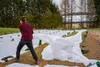 GARTENVLIES UNKRAUTVLIES WEIß 1,6m 50g/m2 UV-Schutz 55 m Produktbild-Vorschau 11