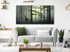 Wandbild Mega XXXL Wald 250x125 cm Einteiliger XXL-Format Produktbild-Vorschau 3