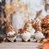 Set van 3 tuinkabouters, herfstdecoratie, kunstharsfiguren, Productafbeelding-voorbeeld 7