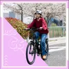 RCB G6 27,5 Zoll E-Bike, City Elektrofahrrad & E-Hollandrad Produktbild-Vorschau 8
