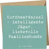 Mr. & Mrs. Panda doppelkarte Spruch Kurzhaardackel Liebe - Produktbild-Vorschau 1