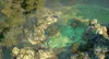 Shadow Tactics: Blades of the Shogun (PS4) Produktbild-Vorschau 7