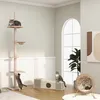 Kosz dla kota Paws Paws z poduszką pvc Podgląd zdjęcia produktu 9