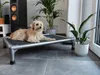 A dog is lying on a raised pet bed in a room with plants and a speaker. Produktbild-Vorschau