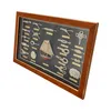 Knotentafel, Seemannsknoten, Schautafel Knotenkunde im Produktbild-Vorschau 3