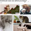 A collage of images showing cats interacting with household items and decorations. Anteprima dell’immagine prodotto