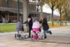 Bayer Chic 2000 - Puppenwagen Mika, 2in1 Kombipuppenwagen Produktbild-Vorschau 9