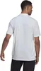Koszulka adidas Polo ENTRADA 22 HC5067 S Anteprima dell’immagine prodotto 3