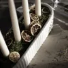 A close-up of a white ceramic candle holder with white candles, dried orange slices, and moss. Produktbild-Vorschau