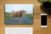 MuchoWow® Laptop Aufkleber Sticker Cover Scottish Produktbild-Vorschau 2