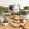 Own Grown  Microgreens 8er Saatgut-Set Produktbild-Vorschau 6