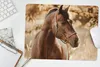 MuchoWow® Mauspad Mousepad Pferd - Sonne - Porträt - Natur Produktbild-Vorschau 5