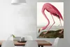 MuchoWow® Poster Flamingo - Vogel - Vintage - Wasser - Rosa Produktbild-Vorschau 2