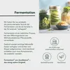 Auranatura Fermentura Ginkgo Duo Kapseln 30 St Produktbild-Vorschau 8
