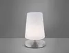 Stolní LED lampa PAUL NEUHAUS 4146-55 ocel, G9, 3 W, 235 Náhled obrázku produktu 4