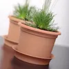 Prosperplast PLASTICA vaso da fiori in terracotta 20 cm Anteprima dell’immagine prodotto 9