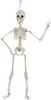 Dekoracja na Halloween szkielet biały 48 cm - jeden rozmiar Podgląd zdjęcia produktu 2