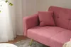 A close-up view of a pink sofa with a pillow. Produktbild-Vorschau