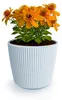 Blumentopf Pflanzkübel Milly Round Innen- und Außenbereich Produktbild-Vorschau 2