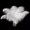 Piume Piume di struzzo, circa 20-30 cm, 20 pezzi, bianco Anteprima dell’immagine prodotto 2
