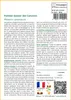 SAFLAX Ensemble-cadeau - Palmier dattier des Canaries - 10 Voir les images du produit 3