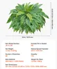 VEVOR, helecho artificial de 127 cm, 596 g. Planta Vista previa de la imagen del producto 7