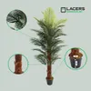 Lacers SMARAGDLINE künstliche Phoenix Palme mit 1 Stamm im Produktbild-Vorschau 1