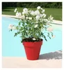 Pot de fleurs Soleilia Rond D68,5cm - H65cm - 135L - Rouge Voir les images du produit 3