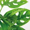 Bloomique - Monstera Adansonii - Monkey Leaf - Plante Voir les images du produit 3