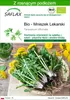 SAFLAX - Bio - Mniszek Lekarski - 400 Nasiona - Z podłożem Podgląd zdjęcia produktu 1