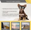 Hundebrille für kleine Hunde, UV-Schutz, Hundesonnenbrille Produktbild-Vorschau 5