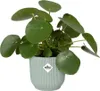 Elho Blumentopf Vibes Fold Ø 16 x 15 cm sorbet grün Produktbild-Vorschau 4