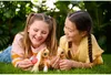 Zuru Pets Alive - Mon poney magique avec écurie 9546 Voir les images du produit 15