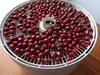 Ecran Ezidri pour FD1000 ULTRA (1 pièce) Voir les images du produit 3