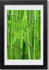 Bild 20x30 MDF-Rahmen, Wandkunst Bambuswald Produktbild-Vorschau 1
