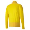Puma Teamgoal 23 Training 14 Zip Top Jr 65656703 Kinder Produktbild-Vorschau 6