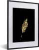MuchoWow® MuchoWow® Gerahmtes Poster Schwarz und Gold - Produktbild-Vorschau 1