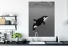 MuchoWow® Poster Orca - Wasser - Tiere 90x120 cm - Produktbild-Vorschau 3