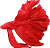 Design Deko Figur Kampffisch CROWNTAIL 35cm rot Betta Fisch Produktbild-Vorschau 9