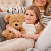 Warmies Bear Heat Cuddle Voir les images du produit 6
