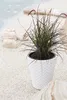 Kvetináč Little Matuba s vložkou biely 30 cm Náhľad obrázku produktu 4
