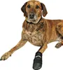 A dog wearing a protective boot on its paw. Anteprima dell’immagine prodotto