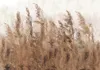Vlies Fototapete - Tall Grasses - Brown 100x70 cm Produktbild-Vorschau 5